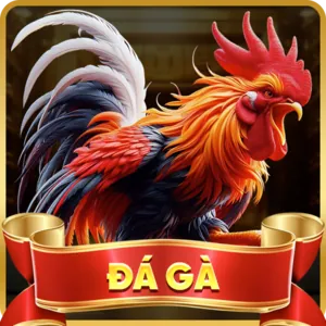 Đá Gà Trực Tiếp b66 cổng game