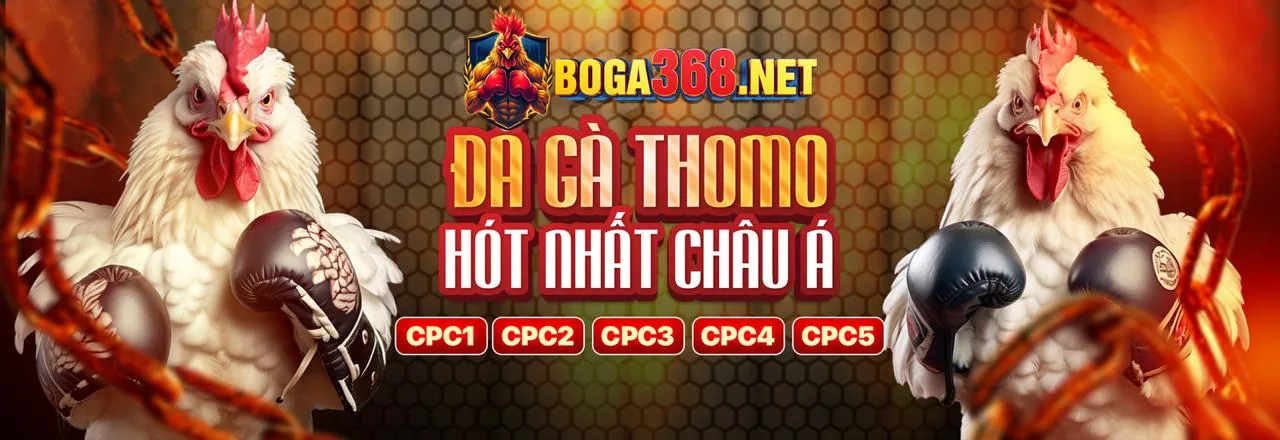 Hình ảnh chính sách cookie của b66 cổng game